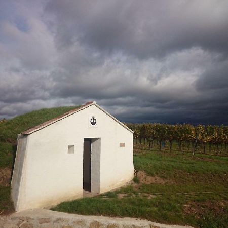 Weingut Wagner Apartment Leodagger ภายนอก รูปภาพ