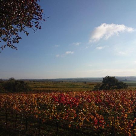 Weingut Wagner Apartment Leodagger ภายนอก รูปภาพ