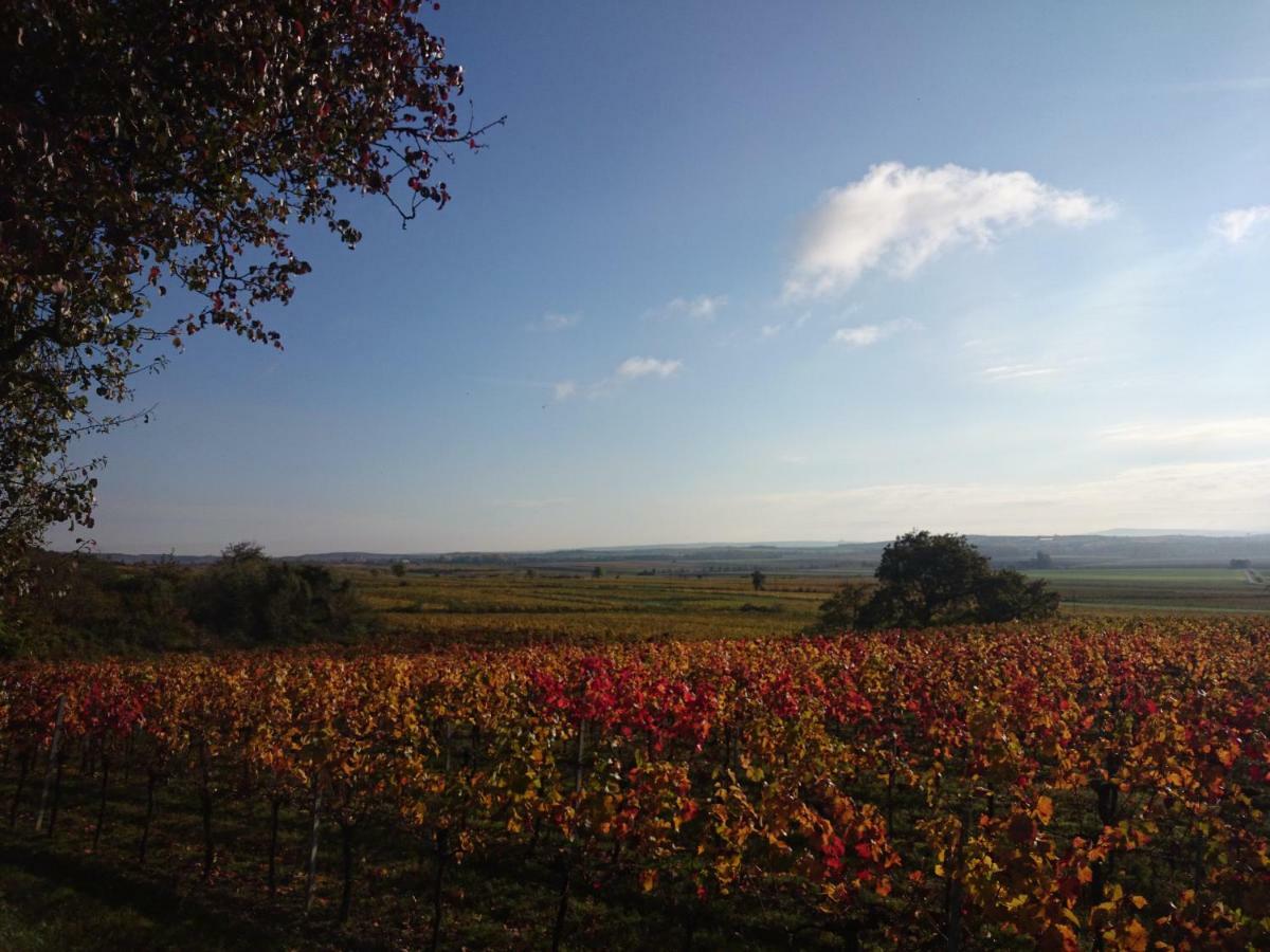 Weingut Wagner Apartment Leodagger ภายนอก รูปภาพ